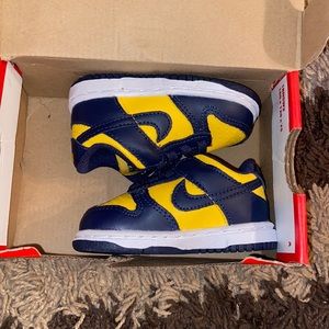 Toddler Nike dunks